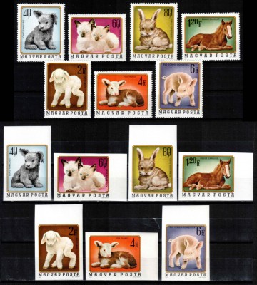 Ungaria 1974, Mi #3007-3013 A+B, dant + ned, fauna, pui animale, MNH. Cota 94 &amp;euro;! foto