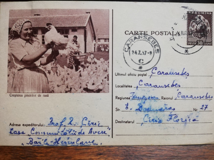 Carte postala circulata 1957, Cresterea pasarilor de rasa,Caransebes-Herculane