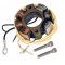 Stator cu lumini Suzuki RM 250 01- 08 L48