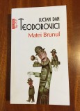 Lucian Dan Teodorovici - Matei Brunul (2014, Stare foarte buna!)