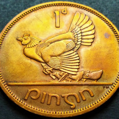 Moneda 1 PINGIN - IRLANDA, anul 1967 * cod 2296 = A.UNC +