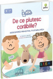 De ce plutesc corabiile? Descopera principiul flotabilitatii - Gama