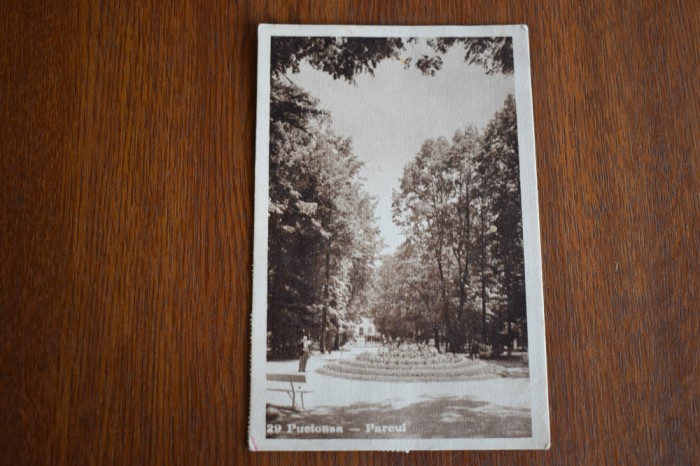 Pucioasa Parcul 1949