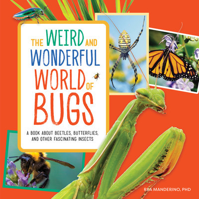 The Weird and Wonderful World of Bugs: A Book about Beetles, Butterflies, and Other Fascinating Insects foto