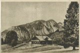 AMS# - VEDERE SPRE POSTAVARUL - CASA DE ODIHNA RPR SEPIA NECIRCULATA