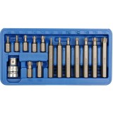 Vorel 66580 - Set capete de insurubare profil TX 15 bucati