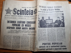 scanteia 19 februarie 1976-art. frumuseni arad,viata de partid a clubului steaua foto