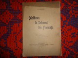 Moldova si soborul din Florenta - C.Auner / carte veche , an 1915 , 60 pagini