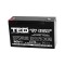 Acumulator Plumb 6V 14.2Ah TED F2