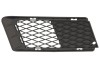 Grila bara fata Bmw Seria 3 (E92/93) Coupe/Cabrio, 09.2006-03.2010, Dreapta, 51117154720, 204127-2