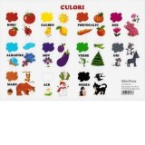 Plansa. Culori
