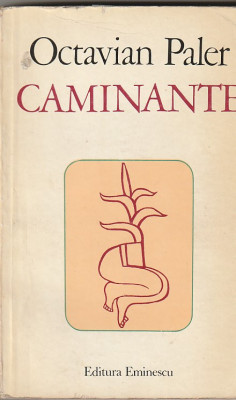 OCTAVIAN PALER - CAMINANTE ( JURNAL SI CONTRAJURNAL MEXICAN ) foto