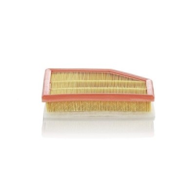 Mann-Filter Filtru aer foto