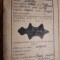DOCUMENT VECHI HUNEDOARA -VANATOR - PERMIS PENTRU CAINE DE VANATOARE -PIESA RARA