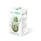 Extract din frunze de maslin 60cps rotta natura