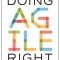 Doing Agile Right: Transformation Without Chaos