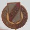 Insigna - Crisul Oradea