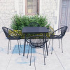 VidaXL Set mobilier de exterior, 5 piese, negru, ratan PVC