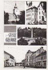 bnk cp Sfantu Gheorghe - Vedere - circulata foto