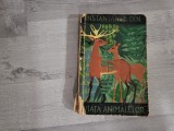Instantanee din viata animalelor de Ionel Pop