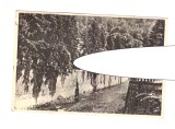 CP Baile Herculane - Cerna, RPR, circulata 1954, stare buna, Printata