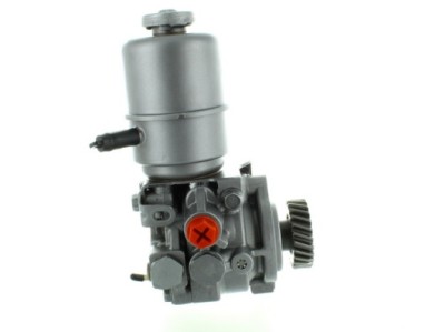 SPIDAN 52753 Pompa hidraulica, sistem de directie foto