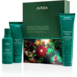 Aveda Holiday Bonds of Brilliance: Botanical Repair&trade; Strengthening Essentials set cadou de Crăciun pentru păr