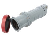 Conector: alimentare AC trifazate mufă mamă drept pe cablu