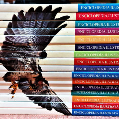 Enciclopedia ilustrata a familiei 16 Volume - Colectiile Cotidianul