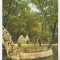 bnk cp Botosani - Vedere din Parcul Eminescu - circulata - marca fixa