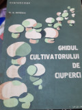 GHIDUL CULTIVATORULUI DE CIUPERCI N. Mateescu