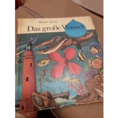 Das grosse Wasser - Rainer Sacher