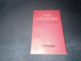 ION CALUGARU - COPILARIA UNUI NETREBNIC