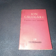 ION CALUGARU - COPILARIA UNUI NETREBNIC