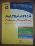 Matematica: Evaluarea Nationala 2015 Gina Caba