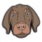 Jibbitz Crocs Bronny Dog