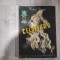 Celofibra de Robert Bauer