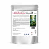Insectosupresor natural curativ doza pentru 100 mp LadyBug WSP 300 g