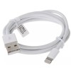 CABLU ALIMENTARE Lightning