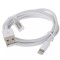 CABLU ALIMENTARE Lightning