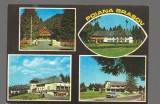 CPIB 17296 CARTE POSTALA - POIANA BRASOV. MOZAIC