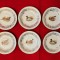 6 FARFURIOARE DIN PORTELAN FIN- MARCAJ VERITABLE PORCELAINE D13cm