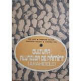CULTURA ALUNELOR DE PAMANT (ARAHIDELE)-POP LIVIU, BIRNAURE VICTOR, MARGHITU VALERIA, CHICHEA ION-106882