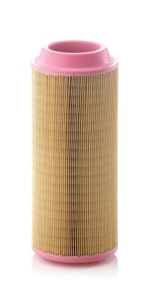 MANN-FILTER C 15 300 EUROPICLON Filtru aer foto
