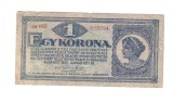 Bancnota Ungaria 1 korona/coroana 1 ianuarie 1920, stare relativ buna