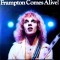 VINIL 2XLP Peter Frampton - Comes Alive ( G+)