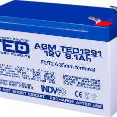 Acumulator AGM VRLA 12V 9.1Ah plumb acid 151x65x95 mm F2 terminal TED Battery Expert Holland