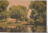 Bnk cp In Delta Dunarii - Vedere - necirculata, Printata, Tulcea