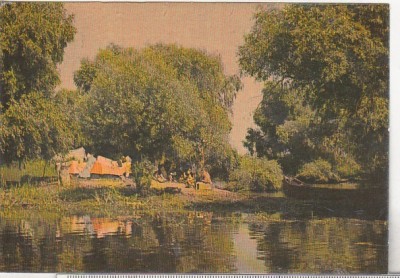 bnk cp In Delta Dunarii - Vedere - necirculata foto