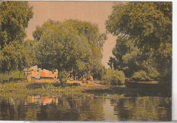 bnk cp In Delta Dunarii - Vedere - necirculata